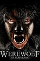 Jack Burrows A Werewolf in Slovenia