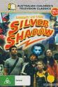 斯蒂芬·麦克斯韦·约翰逊 Legacy of the Silver Shadow