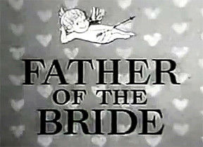 Father of the Bride海报封面图