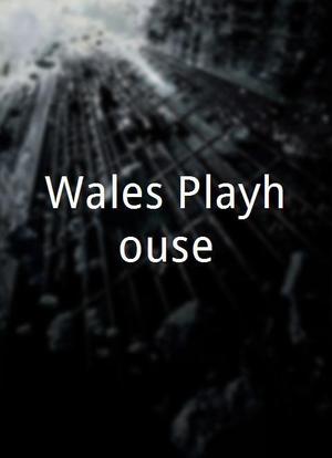 Wales Playhouse海报封面图