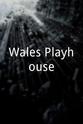Lesley Taylor Jones Wales Playhouse