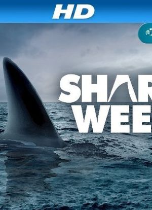 Ocean of Fear: Worst Shark Attack Ever海报封面图