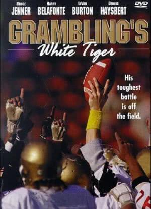 Grambling's White Tiger海报封面图