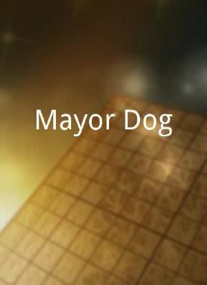 Mayor Dog海报封面图
