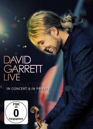 David Garrett Live in Berlin海报封面图