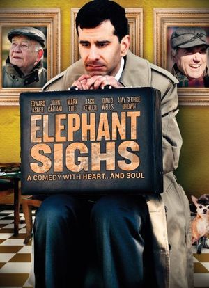 大象的叹息海报封面图