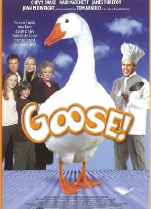 Goose on the Loose海报封面图