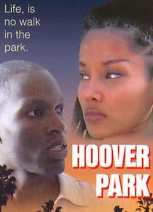 Hoover Park海报封面图