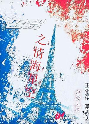 巴黎之情海星空海报封面图