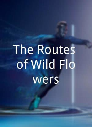 The Routes of Wild Flowers海报封面图