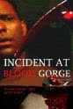 David Ryan Incident at Blood Gorge