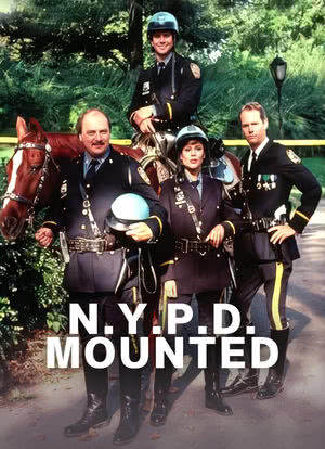 纽约骑警海报封面图