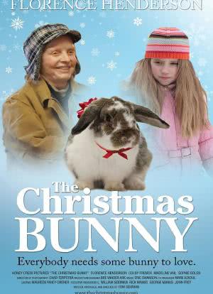 圣诞兔子海报封面图
