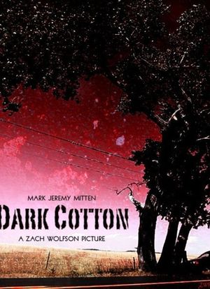 Dark Cotton海报封面图