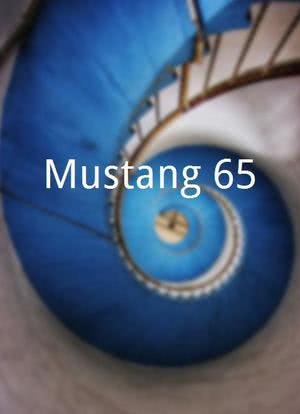 Mustang 65海报封面图