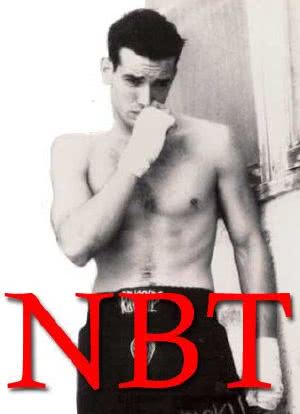 N.B.T.海报封面图