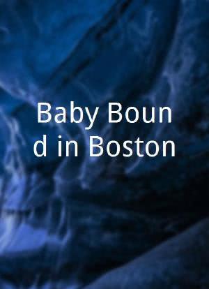 Baby Bound in Boston海报封面图