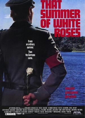 白玫瑰海报封面图