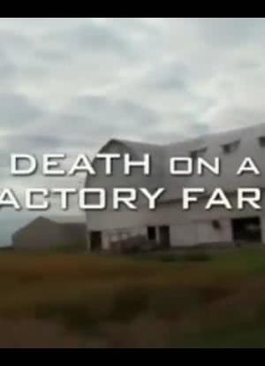Death on a Factory Farm海报封面图