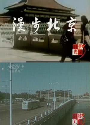 漫步北京海报封面图