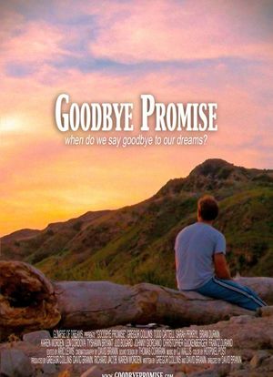 Goodbye Promise海报封面图