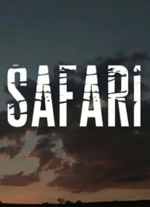 Safari海报封面图