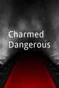 John Bradford King Charmed & Dangerous