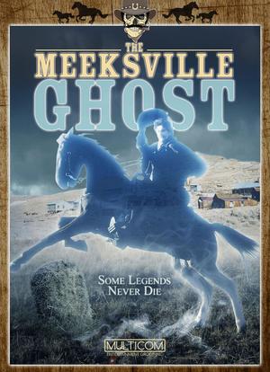 The Meeksville Ghost海报封面图