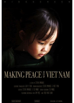越南的和平海报封面图