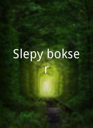 Slepy bokser海报封面图