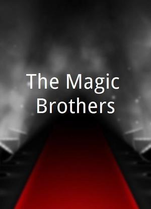 The Magic Brothers海报封面图