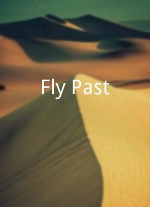 Fly Past海报封面图