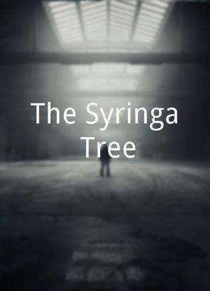 The Syringa Tree海报封面图