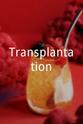 Mela Marchand Transplantation