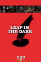 Diane Collett Leap in the Dark