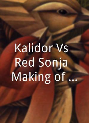 Kalidor Vs. Red Sonja: Making of a Misunderstanding海报封面图