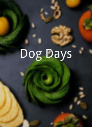 Dog Days海报封面图