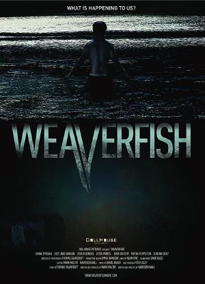 weaverfish海报封面图