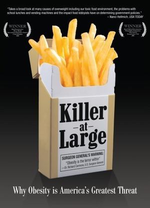 Killer at Large海报封面图