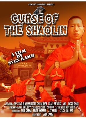 Secrets of the Shaolin海报封面图