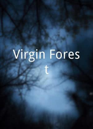 Virgin Forest海报封面图
