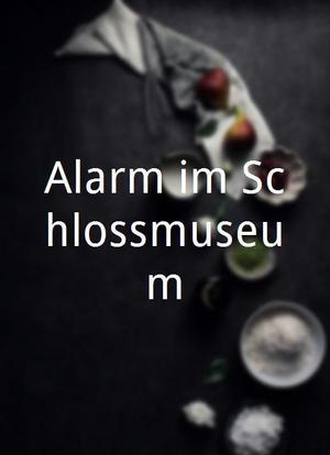 Alarm im Schlossmuseum海报封面图