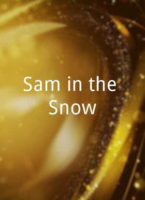 Sam in the Snow海报封面图