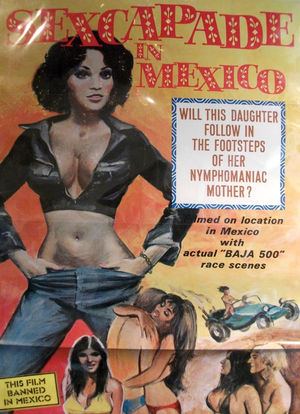 Sexcapade in Mexico海报封面图