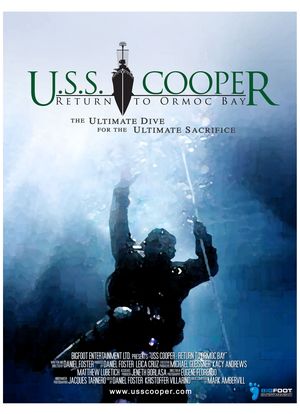 USS Cooper: Return to Ormoc Bay海报封面图
