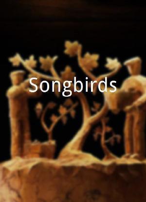 Songbirds海报封面图