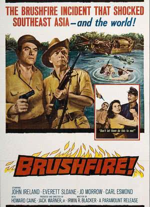 Brushfire海报封面图