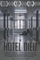 Louisa Spinosa The Hotel Dieu