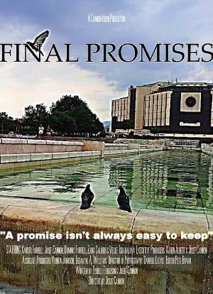 Final Promises海报封面图