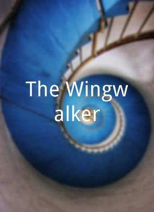 The Wingwalker海报封面图